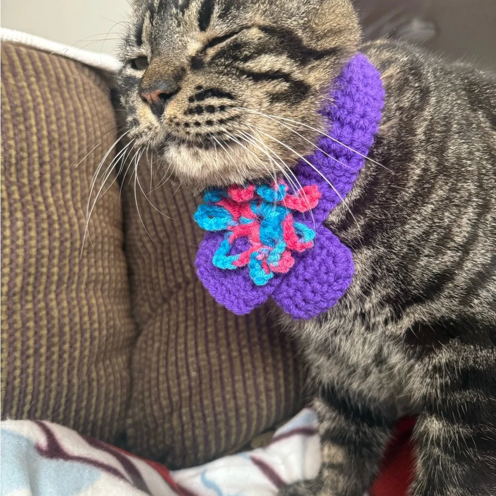 Handmade Purple Cat / small dog scarf with Multicolor Accents